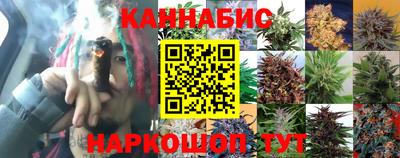 гидропоника Малгобек